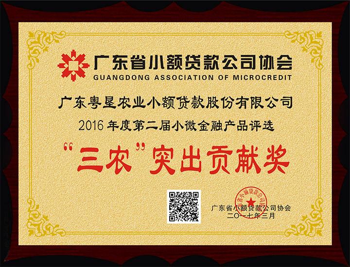 广东粤垦农业小额贷款股份有限公司 广东粤垦农业小额贷款股份有限公司