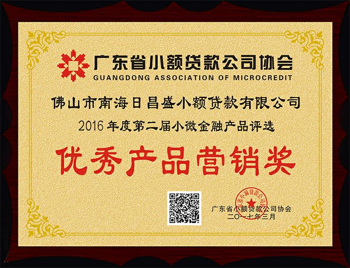 佛山市南海日昌盛小额贷款有限公司