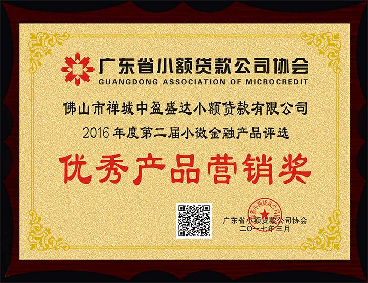 佛山禅城中盈盛达小额贷款有限公司